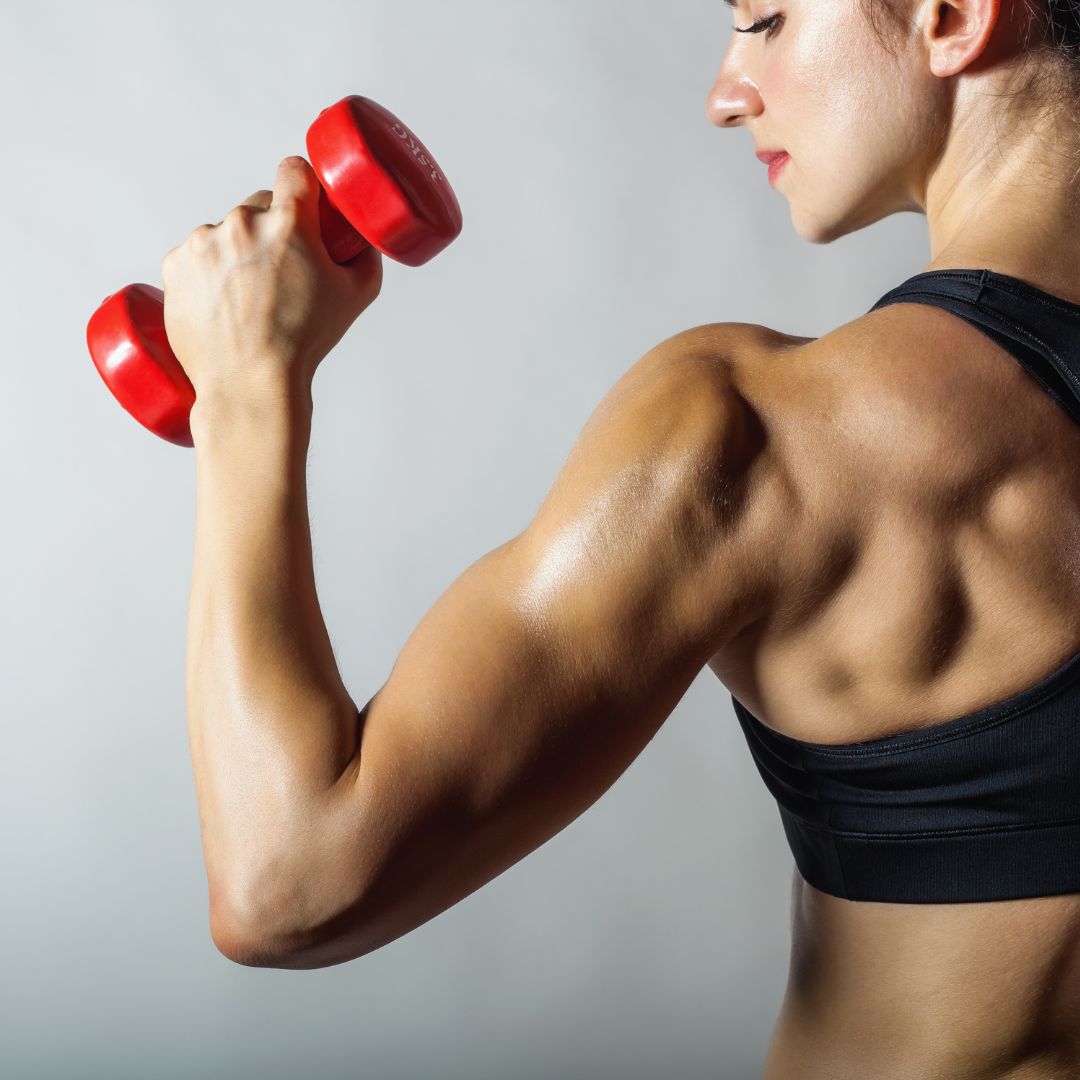 A strong woman curling a dumbbell, her toned back and shoulders in profile